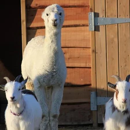 巴克斯塔克农庄酒店 皮克林